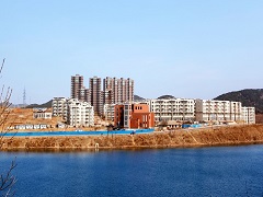 迎宾路两侧楼体绿化美化工程